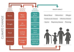 CROP-Health-impacts