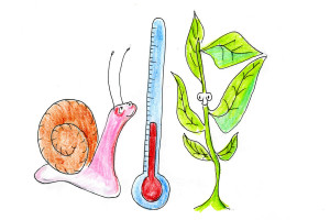 climate zones moving