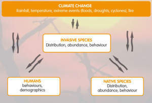 invasives-climate-change