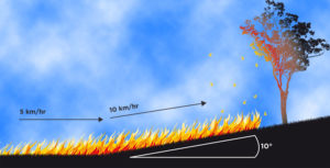 CFS effects_of_slope_on_fire